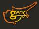 Kibris Genc TV
